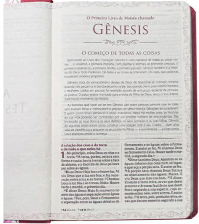 Bíblia da Mamãe: Sabedoria de Deus para as Mães - Flores Goiaba - Almeida Revista e Atualizada