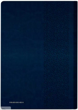 Bíblia Bilíngue Português/Inglês NVI Luxo Azul